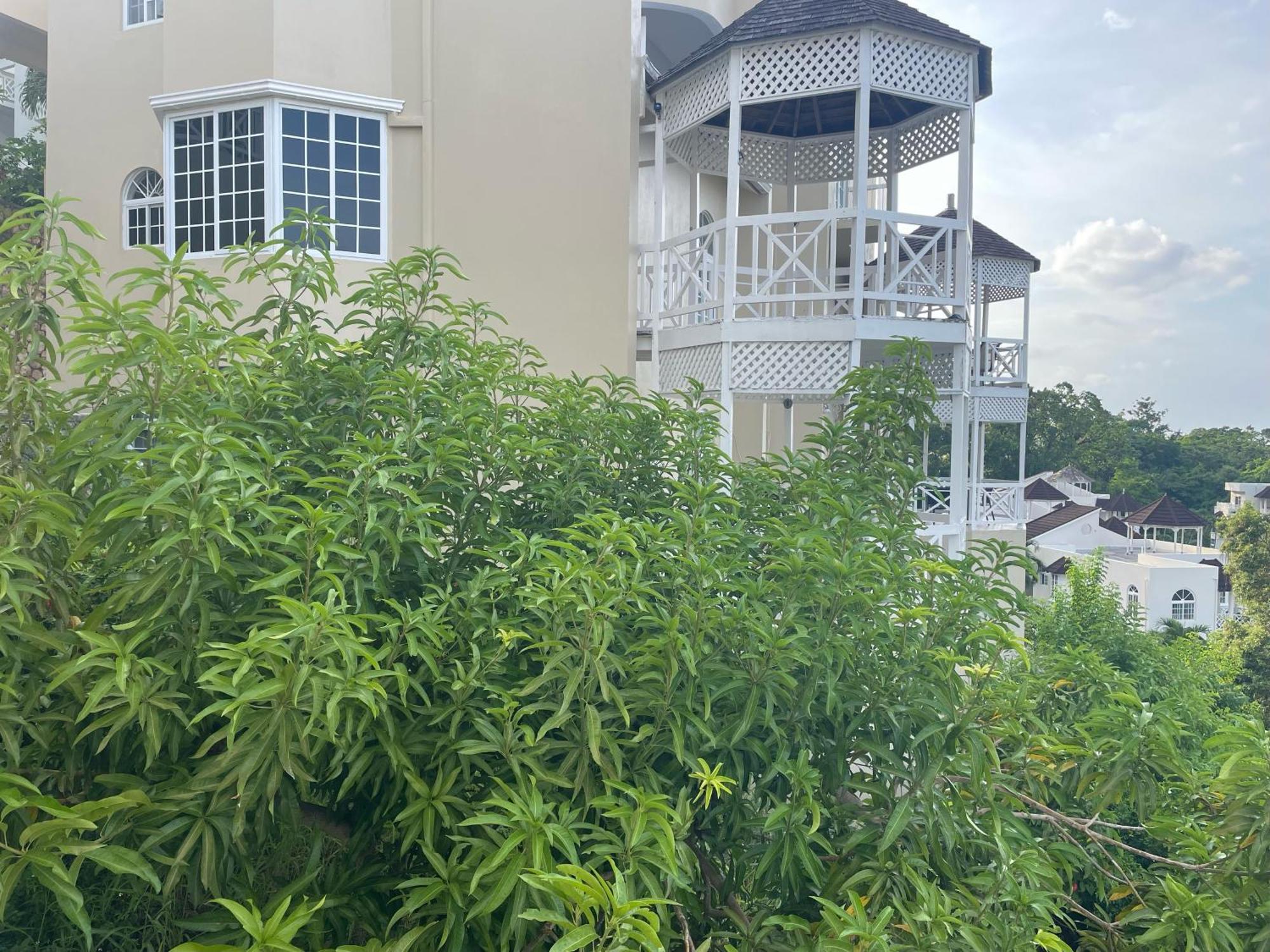 Oceanbreeze Jamaica Penthouse, 7-Minute Walk To Beach Ocho Rios Ngoại thất bức ảnh