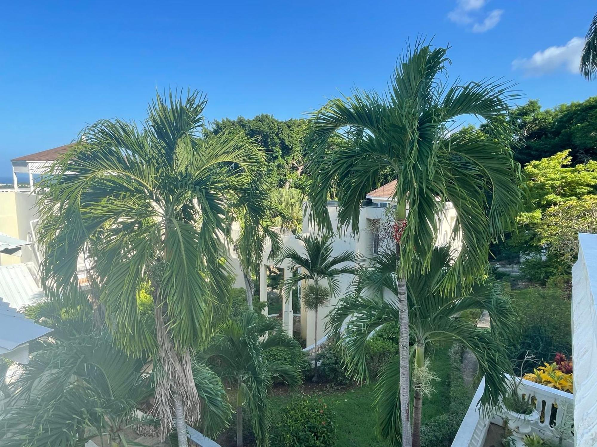 Oceanbreeze Jamaica Penthouse, 7-Minute Walk To Beach Ocho Rios Ngoại thất bức ảnh