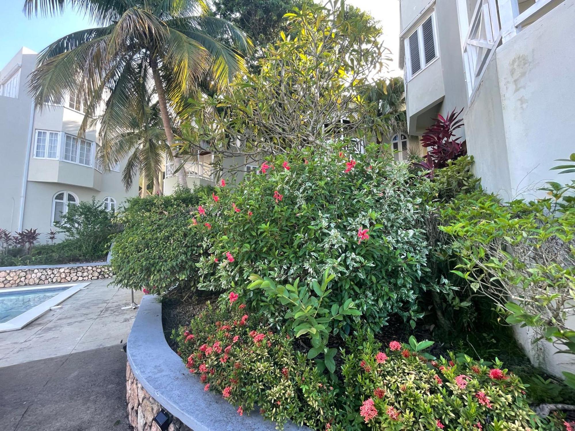 Oceanbreeze Jamaica Penthouse, 7-Minute Walk To Beach Ocho Rios Ngoại thất bức ảnh